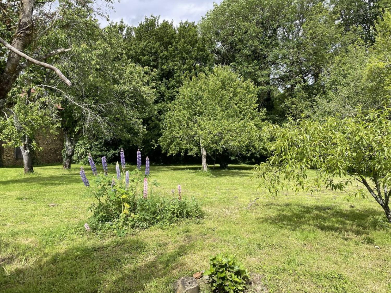  for sale house Saint-Genest-sur-Roselle Haute-Vienne 6