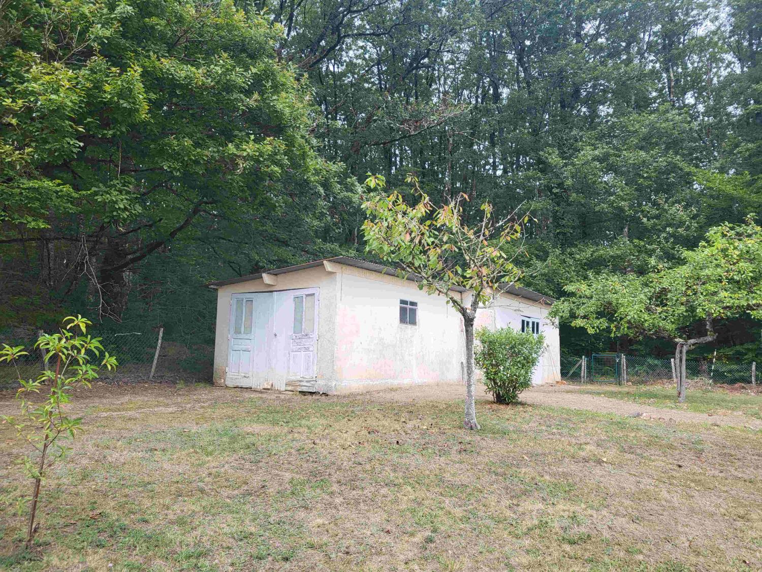  for sale house Saint-Honoré-Les-Bains Nièvre 3