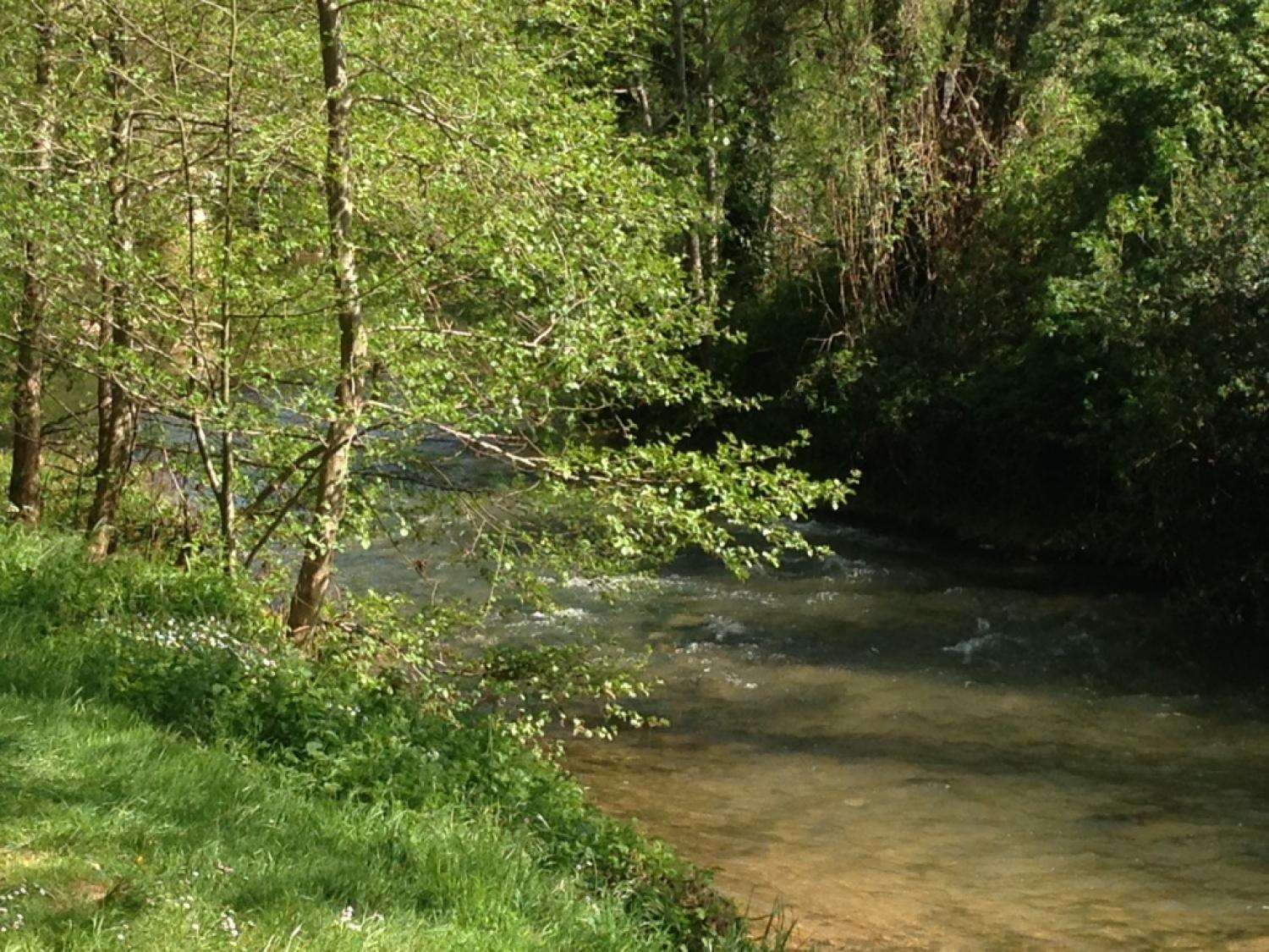  for sale village house Puycelci Tarn 13