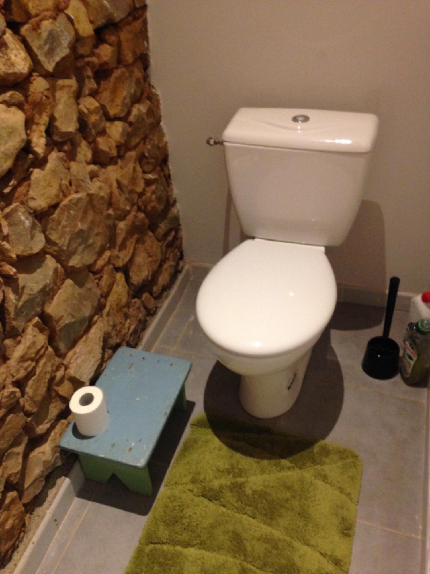  for sale village house Puycelci Tarn 9