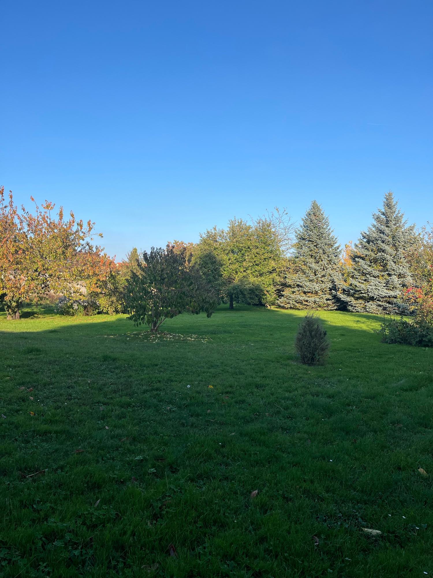  for sale detached house La Houssaye-en-Brie Seine-et-Marne 10