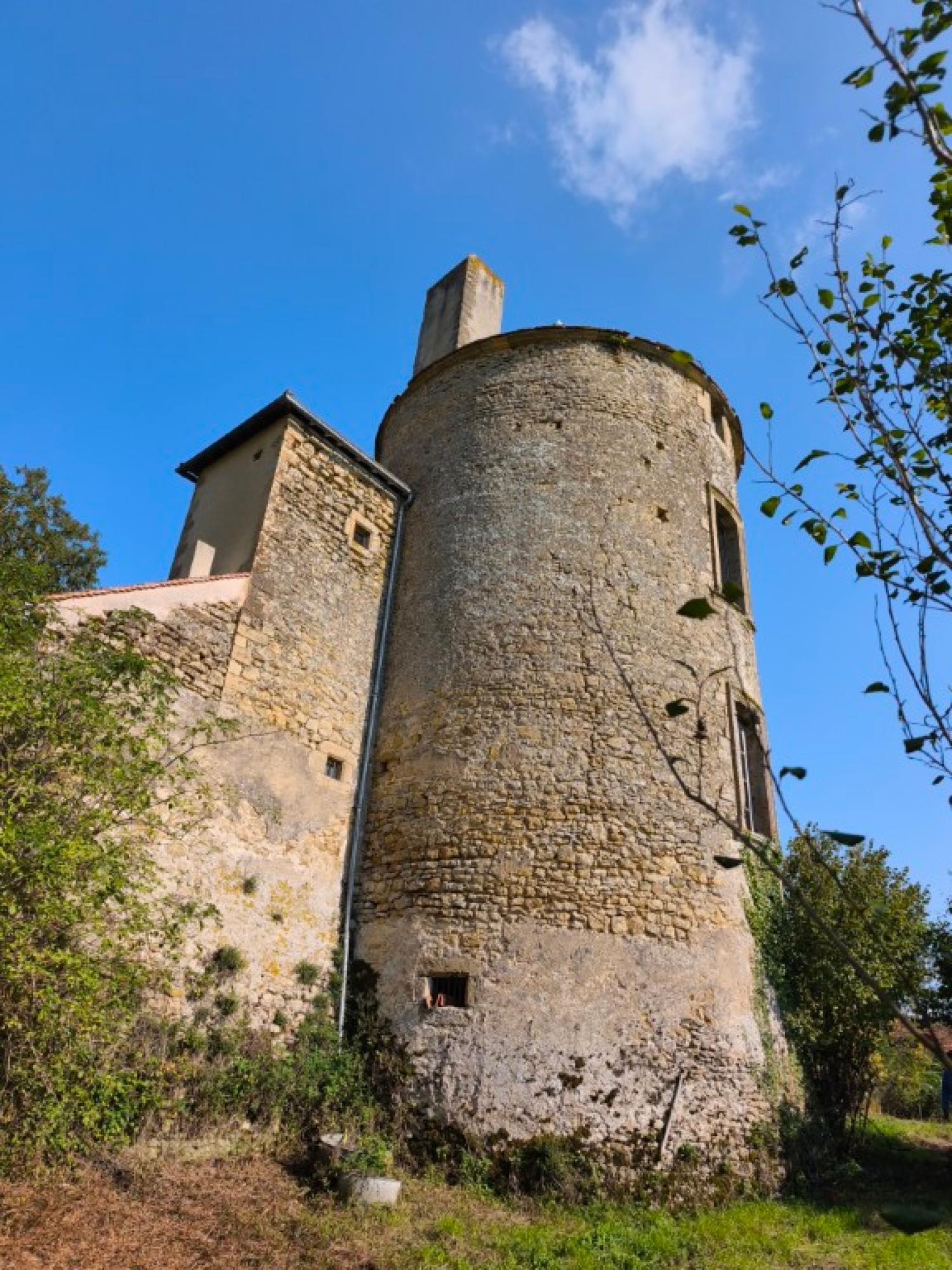  for sale castle Montigny-sur-Canne Nièvre 6