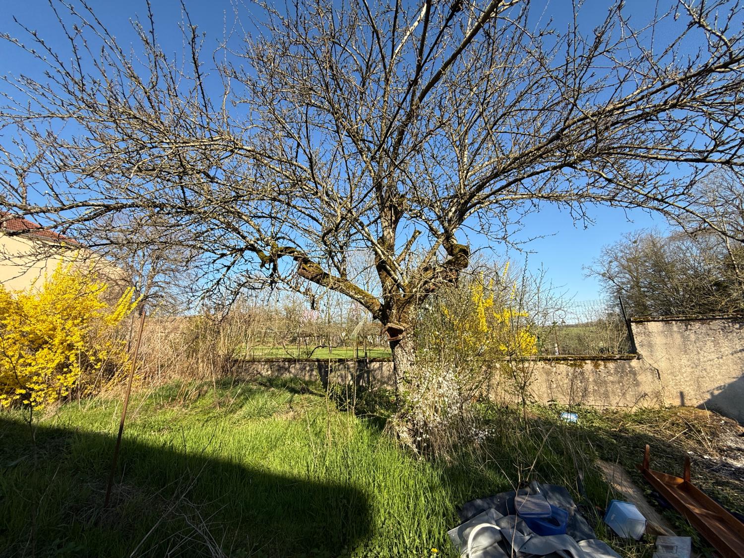  for sale village house Melay Haute-Marne 24