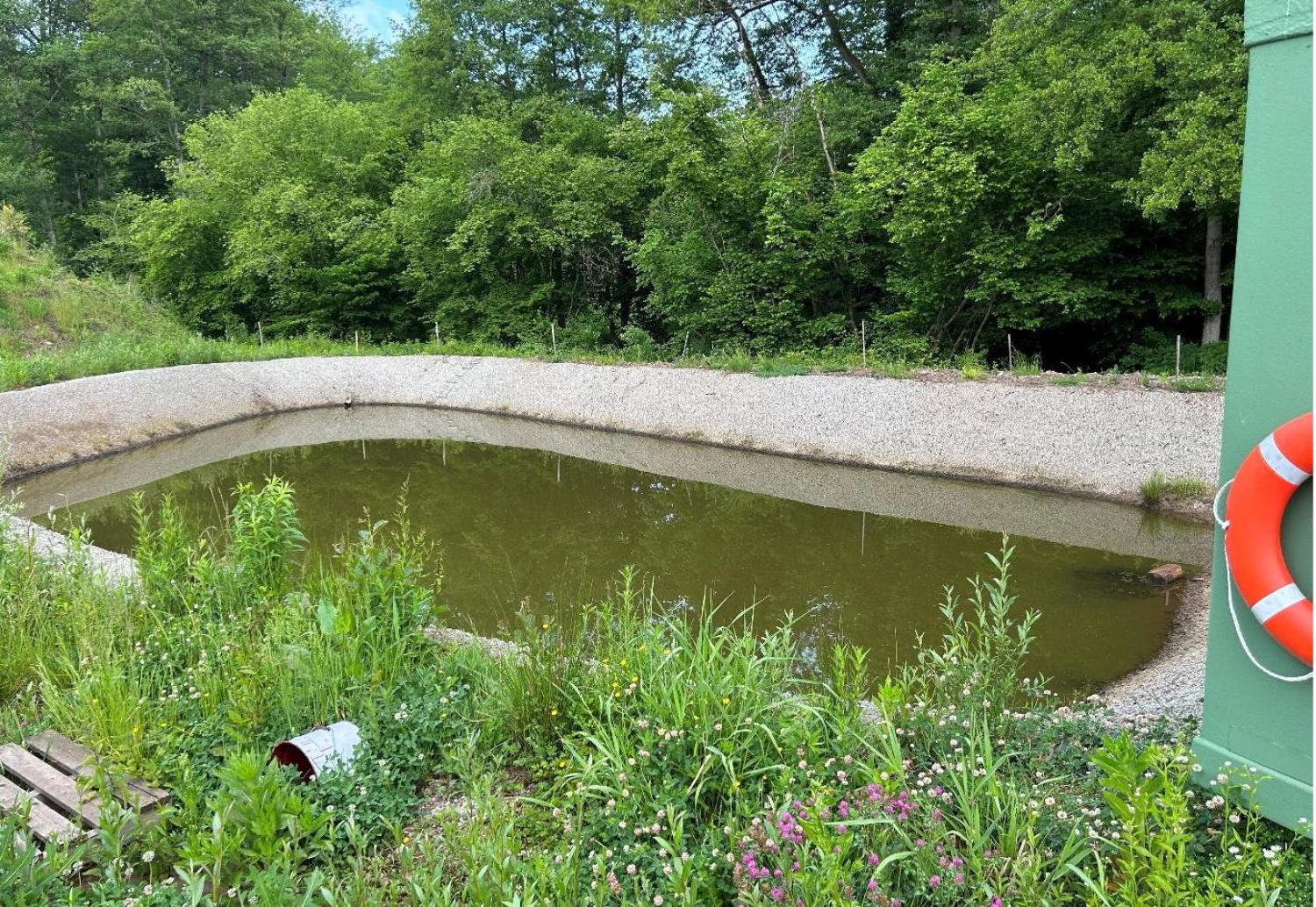 for sale terrain Waldhambach Bas-Rhin 9