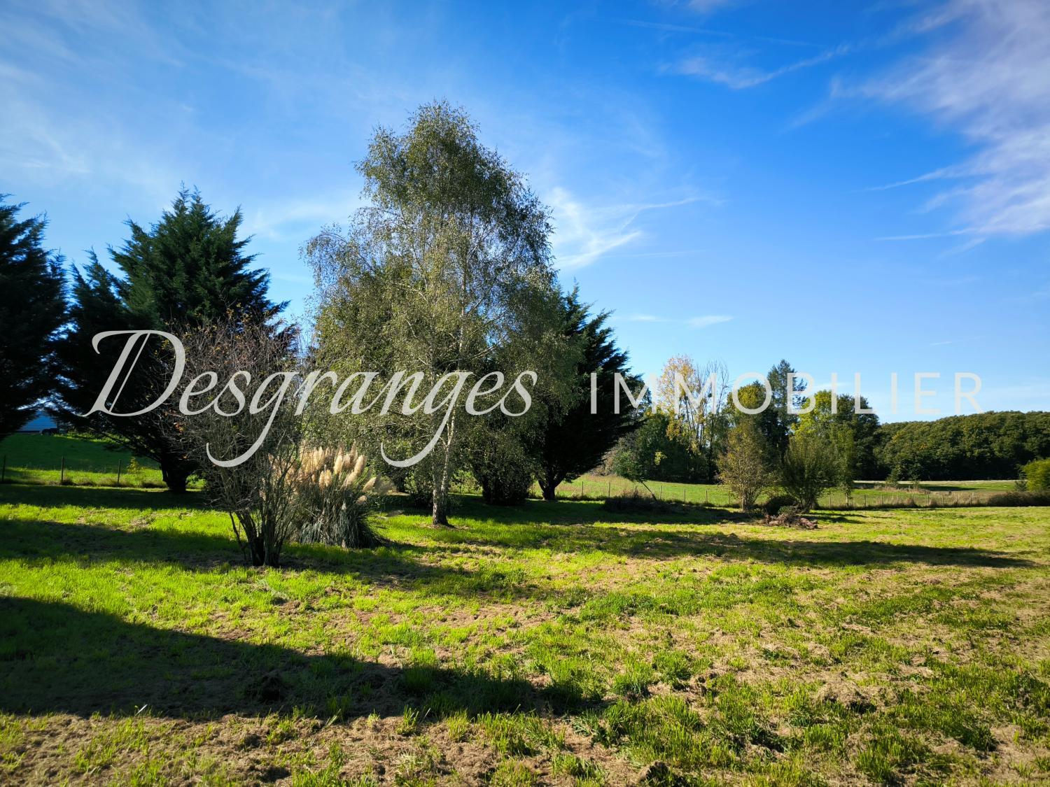  for sale building land Payzac Dordogne 5