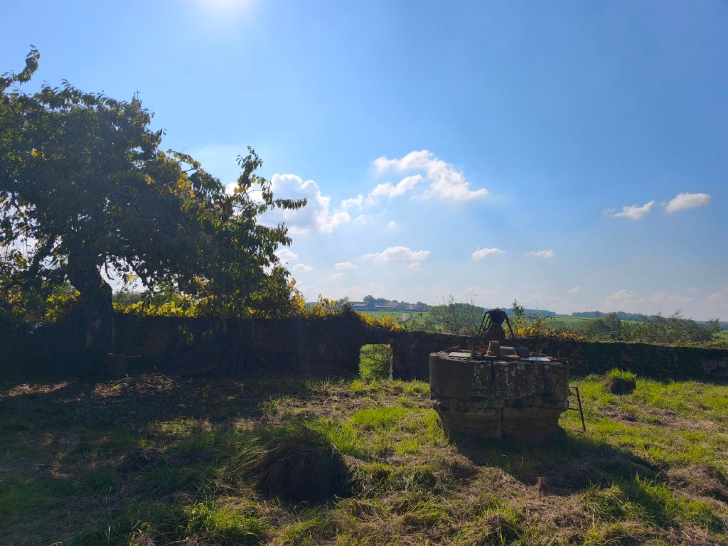  for sale castle Montigny-sur-Canne Nièvre 11