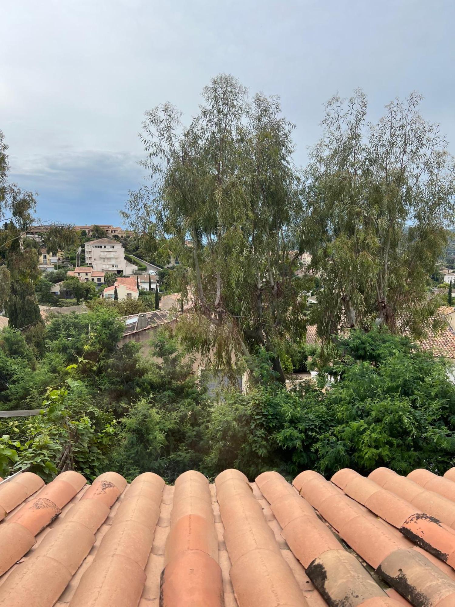  for sale detached house Bormes-les-Mimosas Var 3