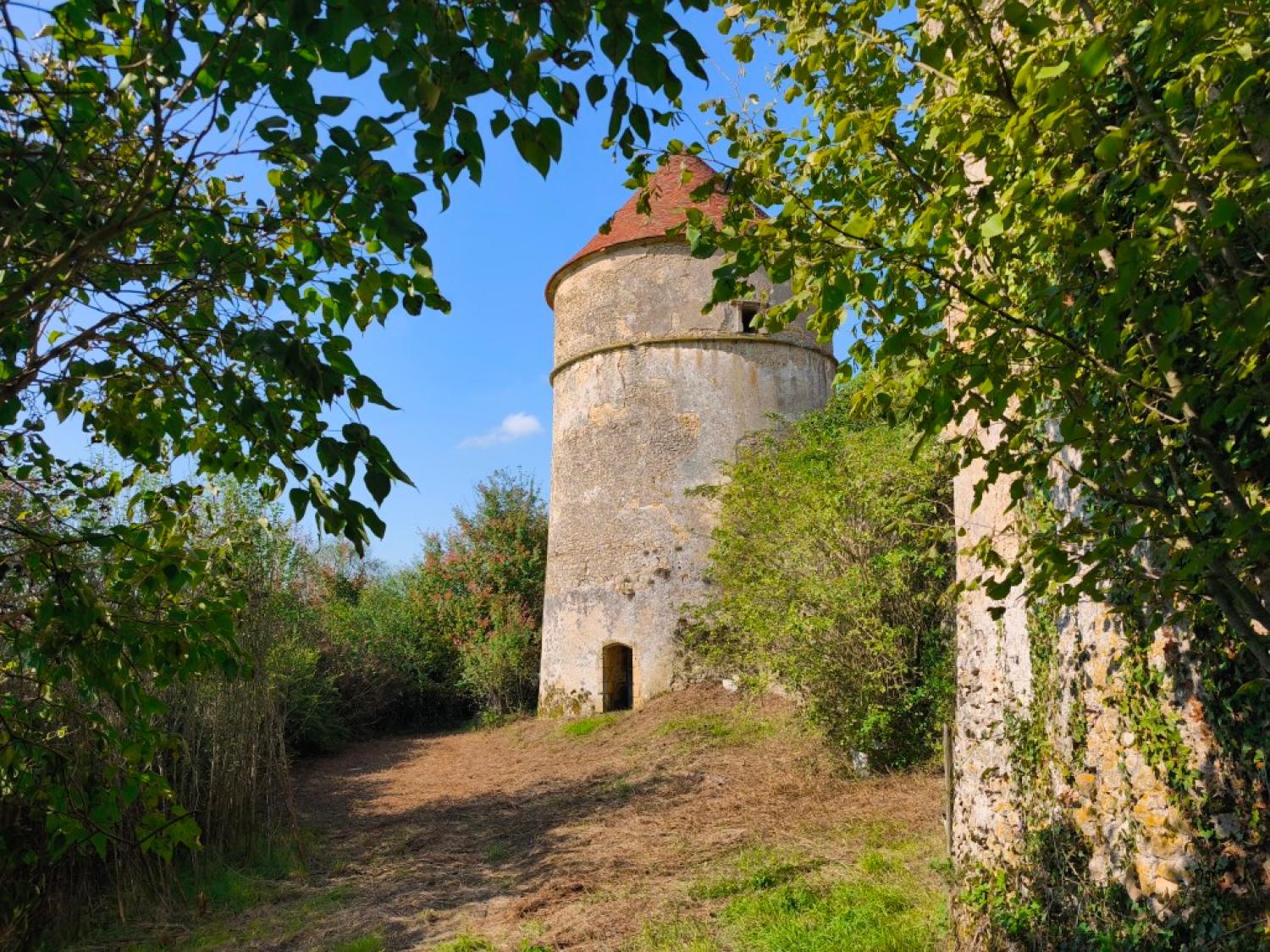  for sale castle Montigny-sur-Canne Nièvre 2