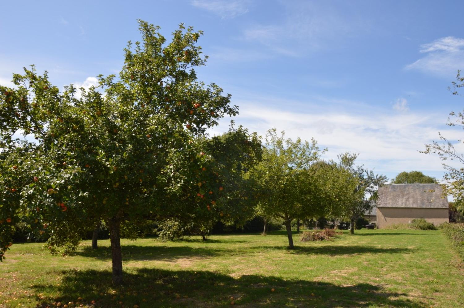  for sale detached house Aunay-en-Bazois Nièvre 4
