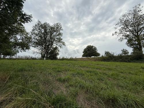  for sale monastery Châtillon-sur-Saône Vosges 44