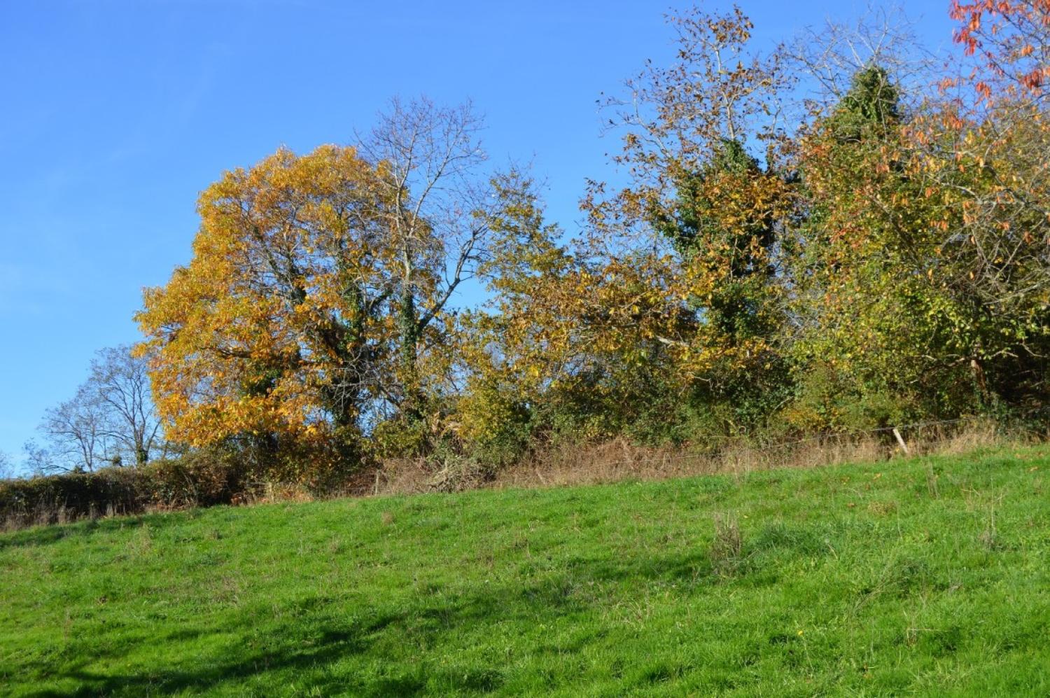  for sale house Millay Nièvre 8