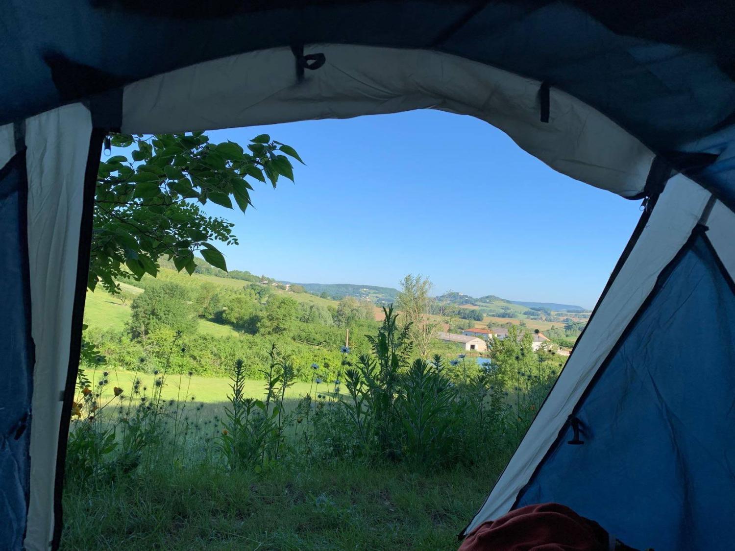  for sale estate Valeilles Tarn-et-Garonne 42