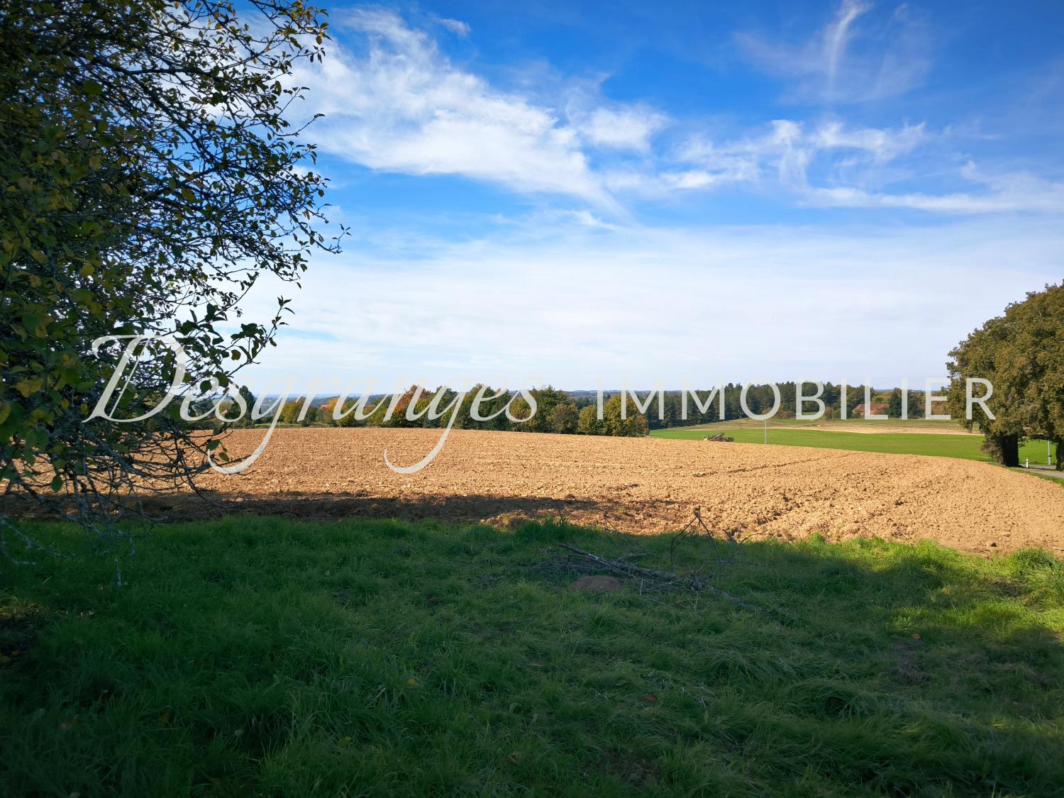  for sale detached house Génis Dordogne 20