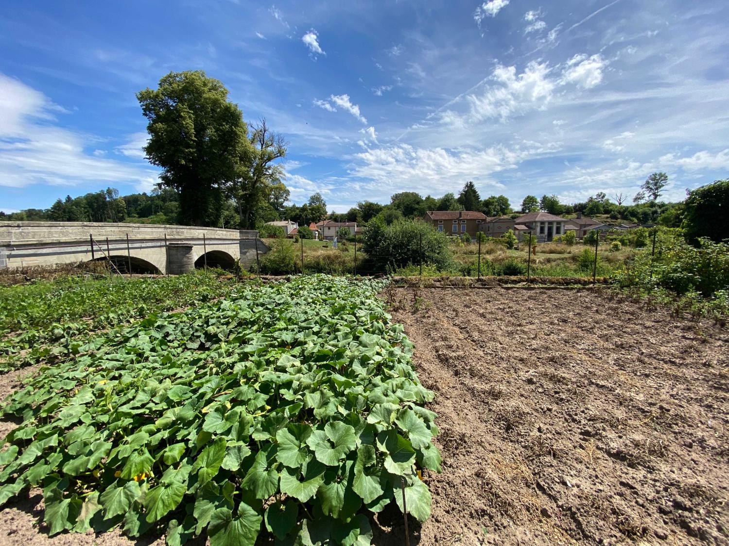  for sale mansion Monthureux-sur-Saône Vosges 34