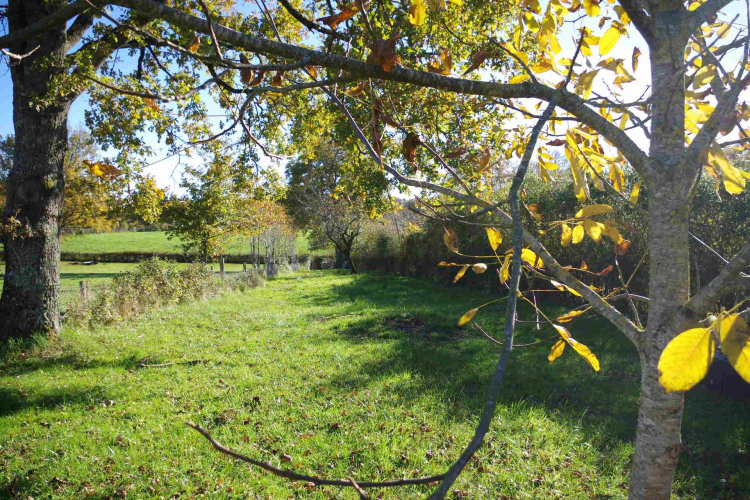  for sale house Vandenesse Nièvre 2