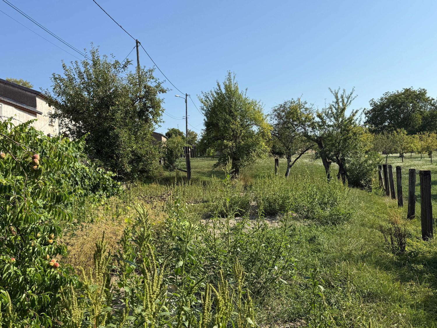 for sale village house Enfonvelle Haute-Marne 20