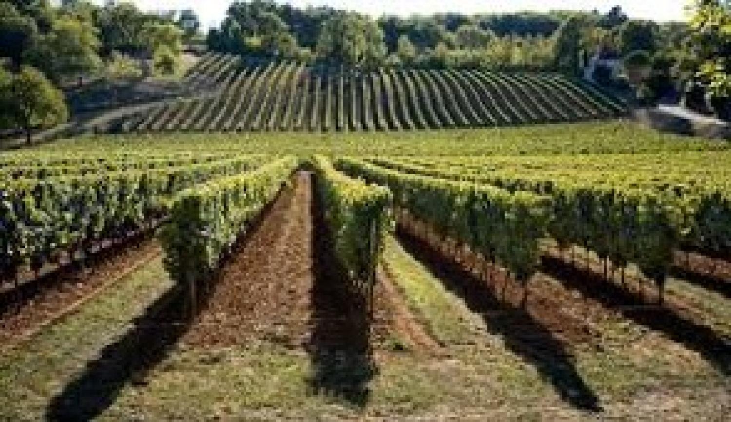  for sale estate Valeilles Tarn-et-Garonne 44