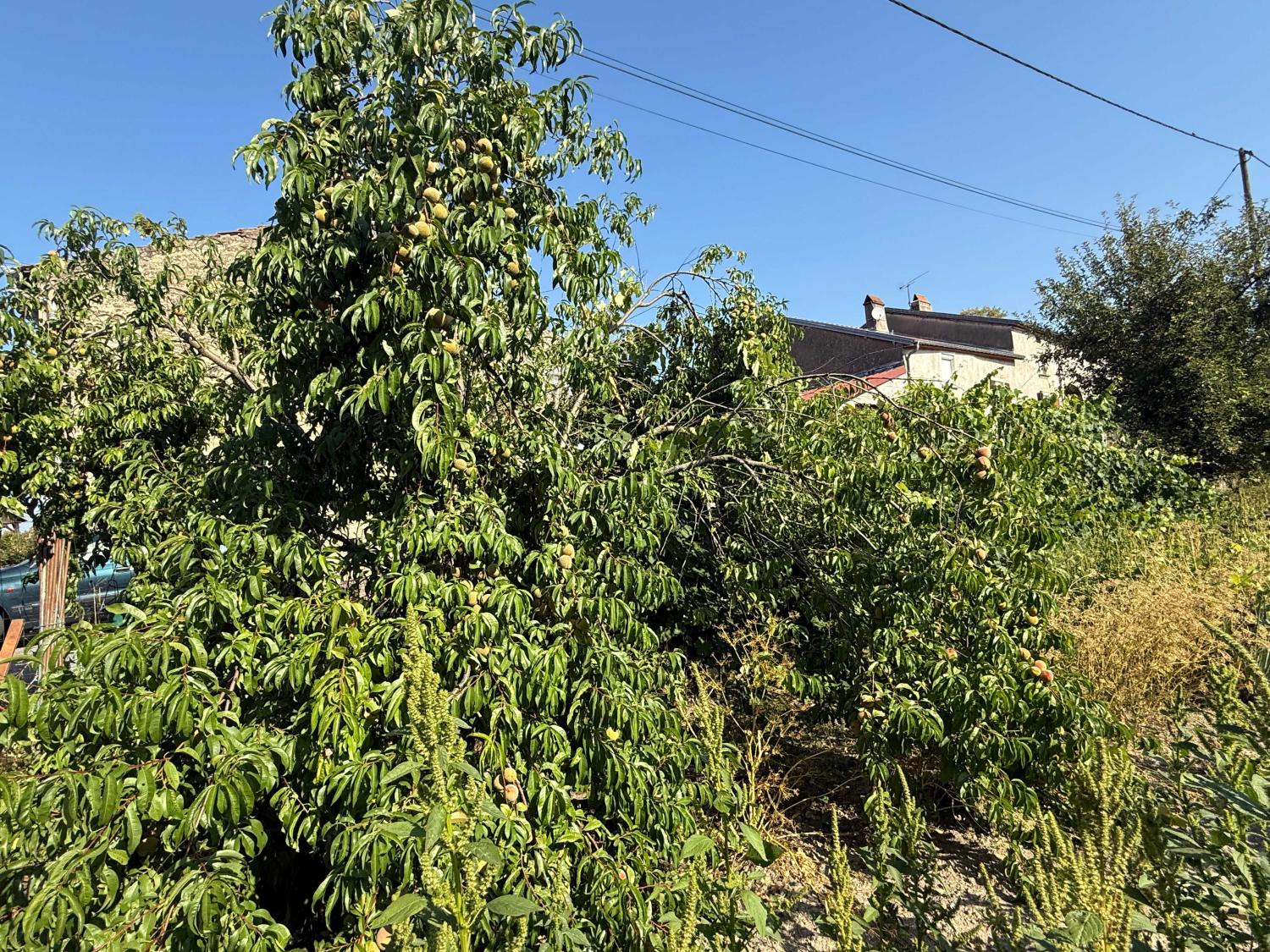 for sale village house Enfonvelle Haute-Marne 19