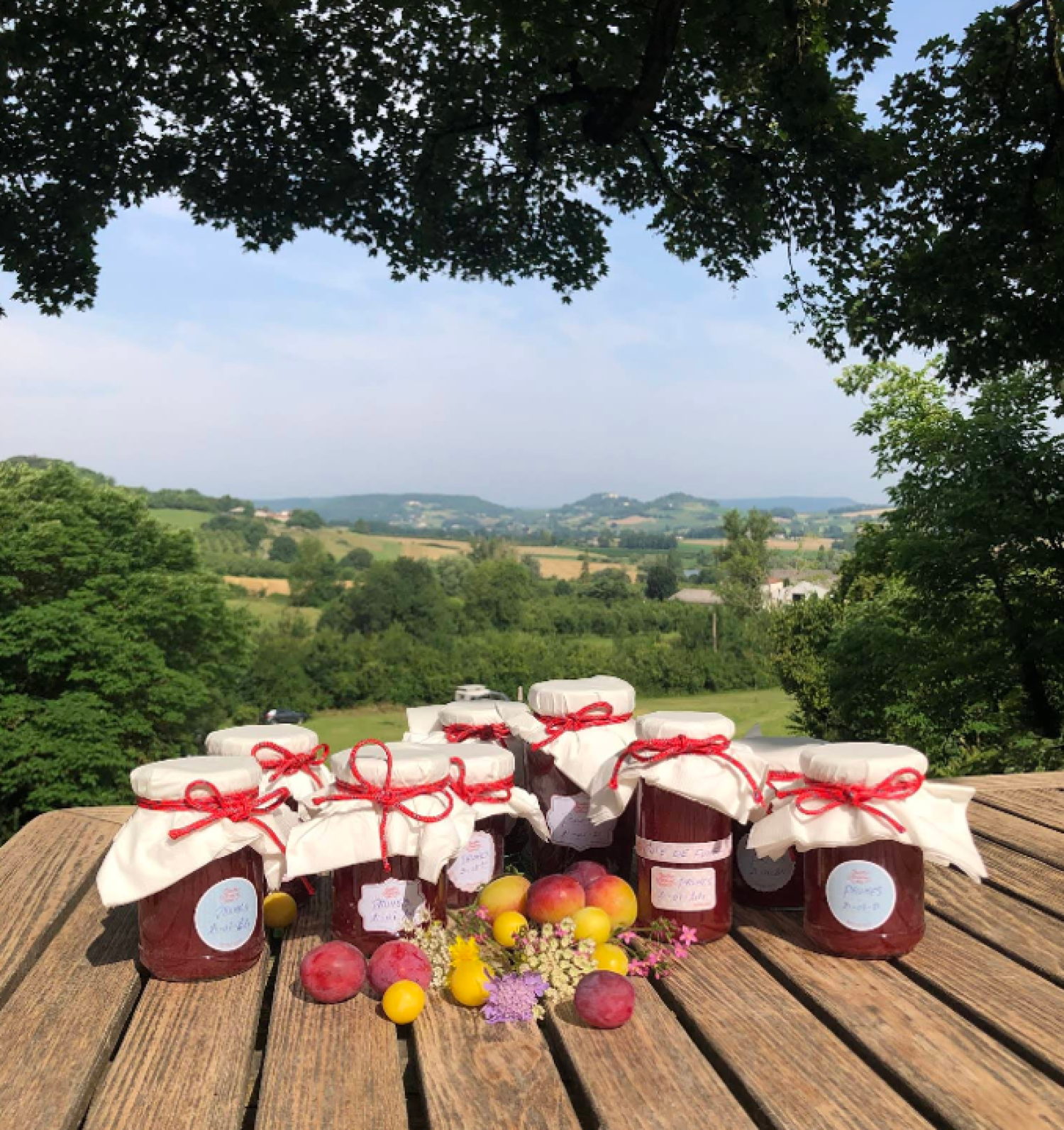  for sale estate Valeilles Tarn-et-Garonne 20