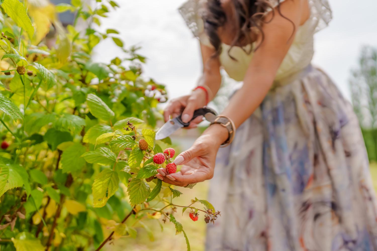  for sale villa Langon Loir-et-Cher 37