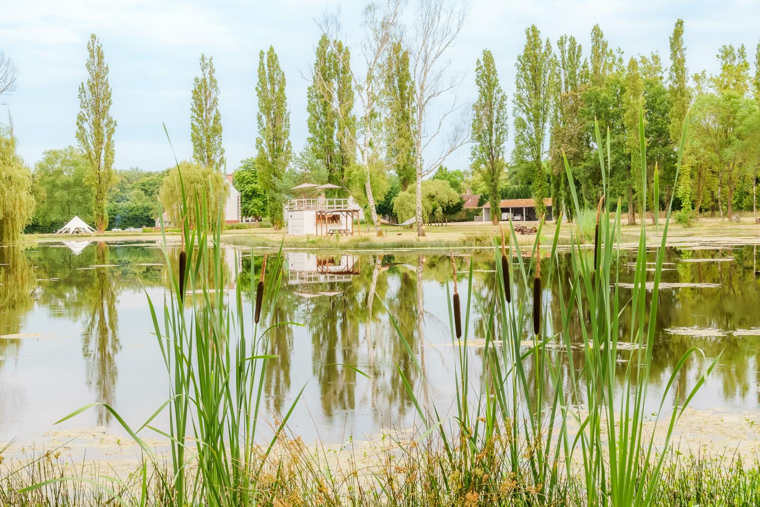  for sale villa Langon Loir-et-Cher 34