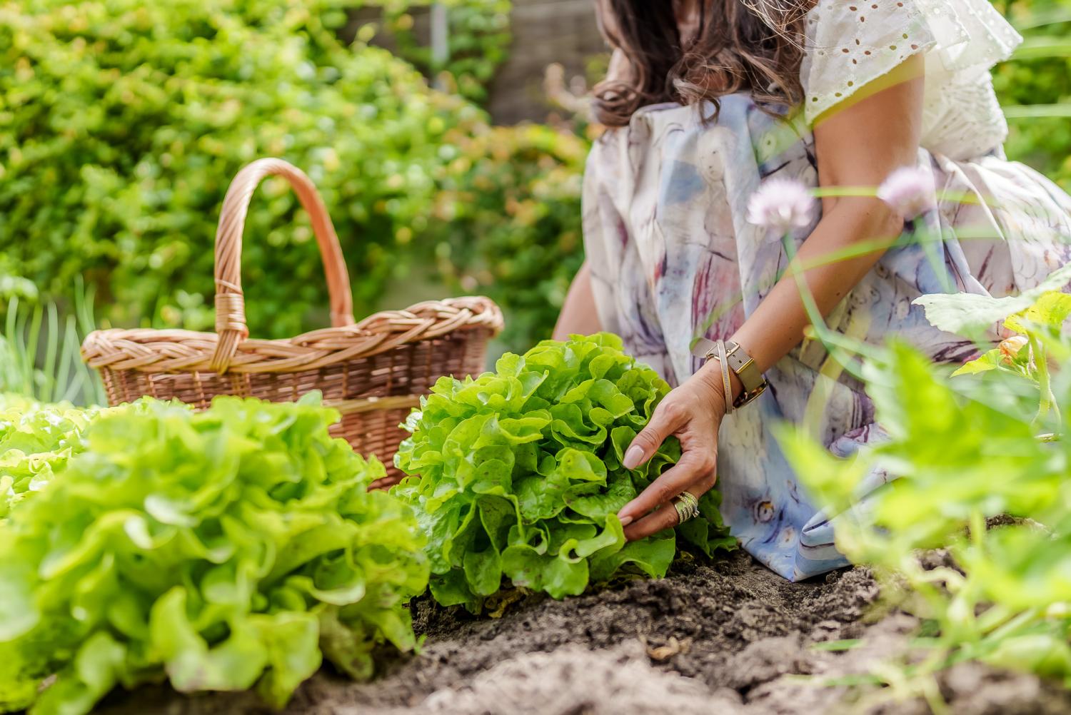  for sale villa Langon Loir-et-Cher 38