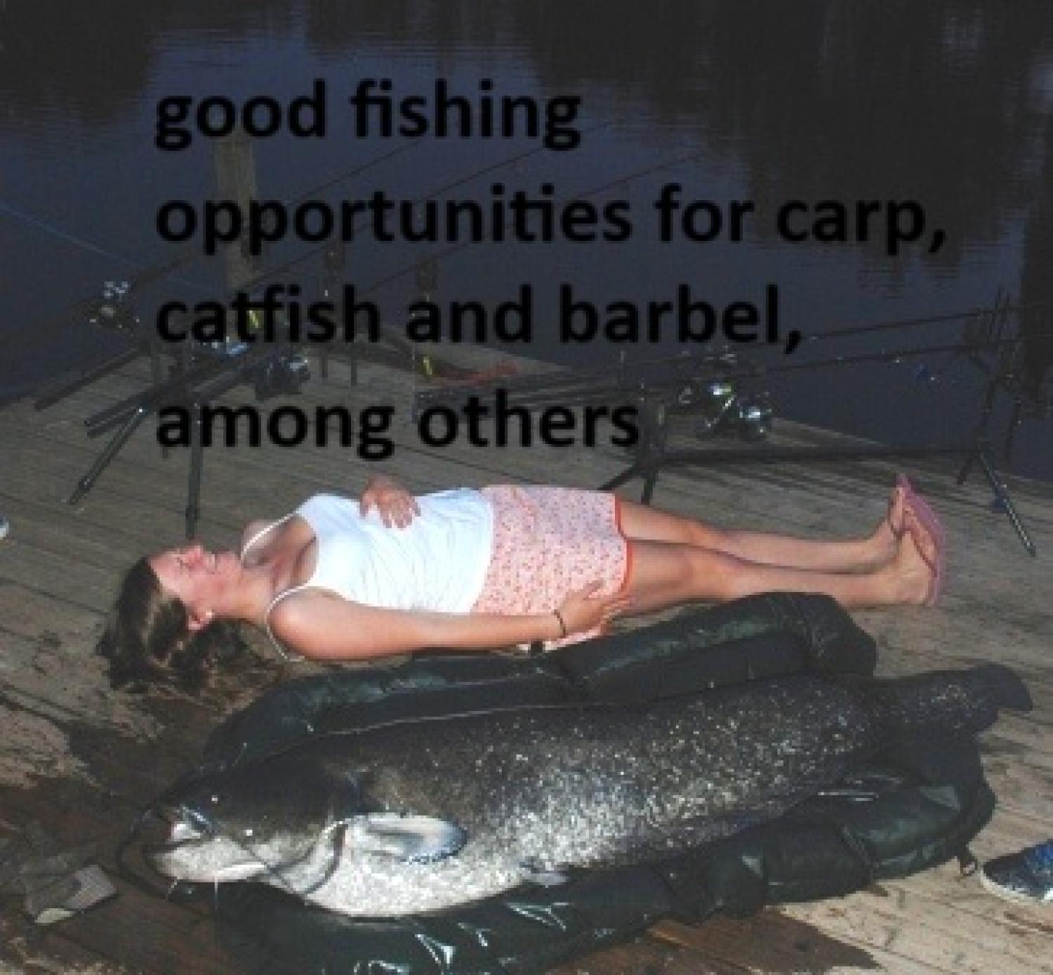  for sale property with holiday home Puy-l'Évêque Lot 36