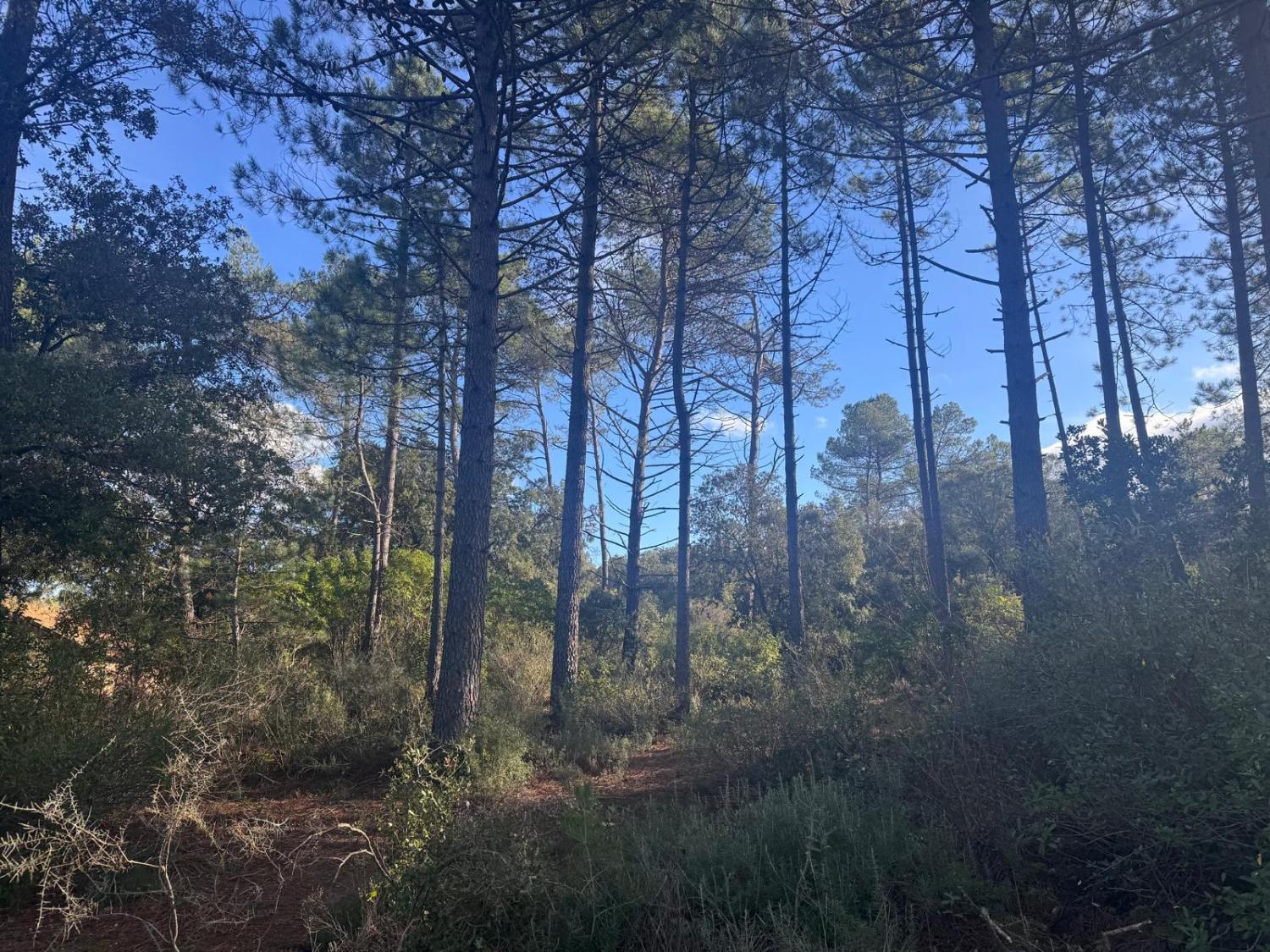  for sale house Bédarieux Hérault 28