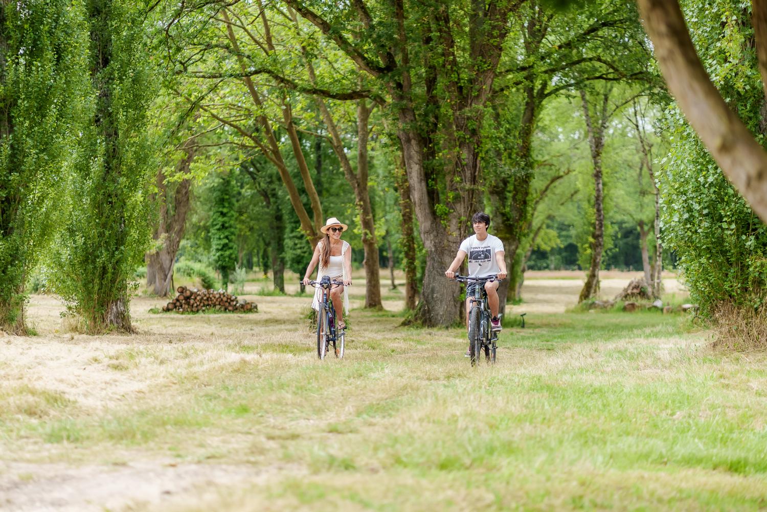  for sale villa Langon Loir-et-Cher 39