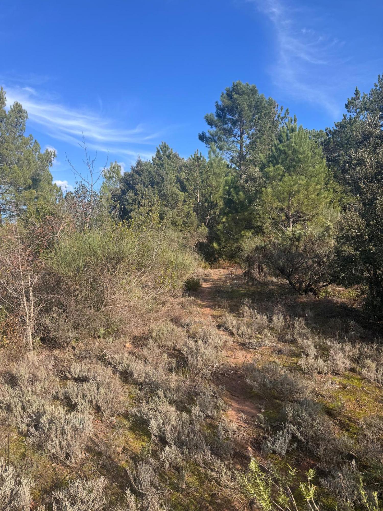  for sale house Bédarieux Hérault 30