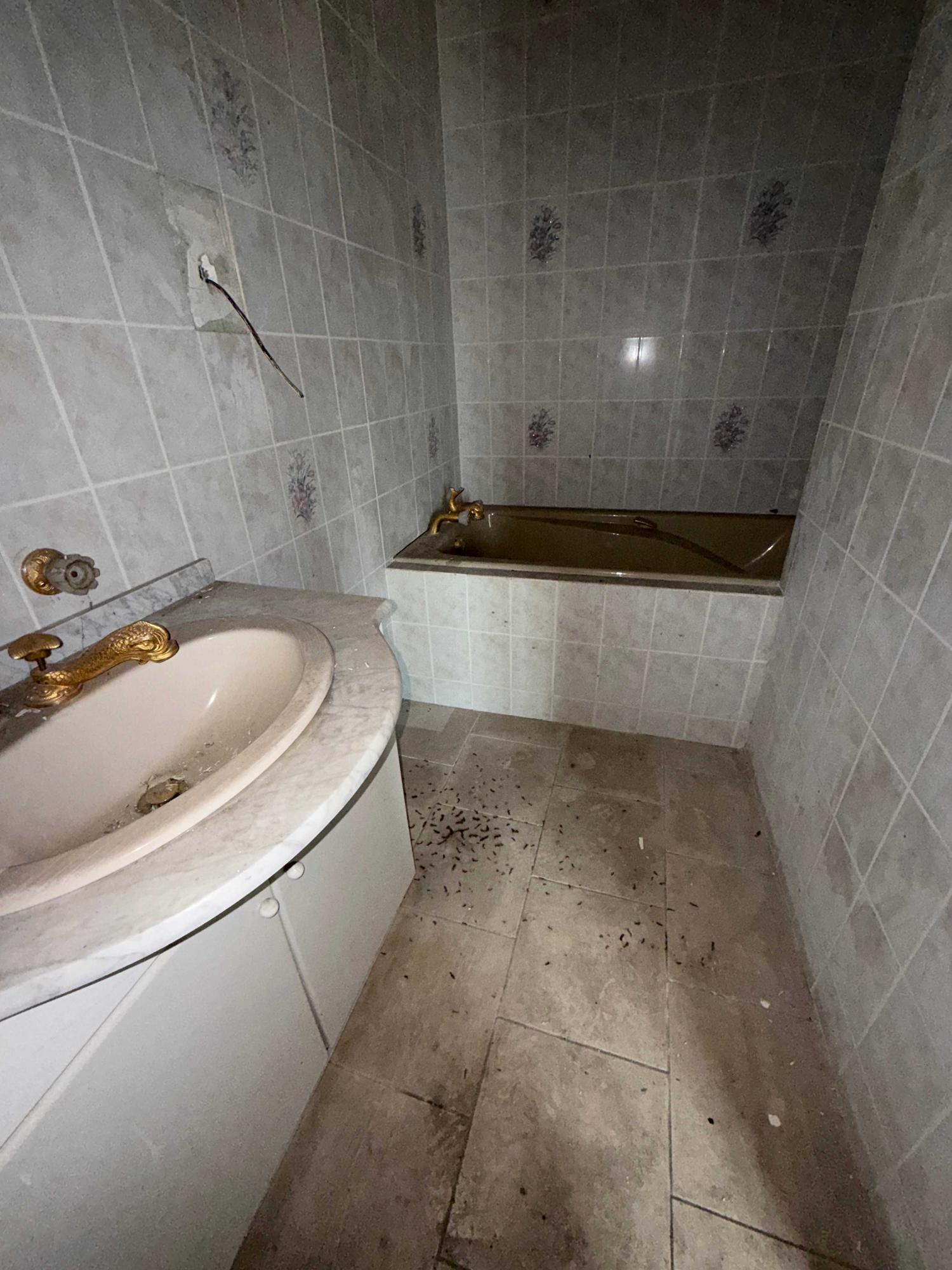  for sale village farm Châteauvillain Haute-Marne 10
