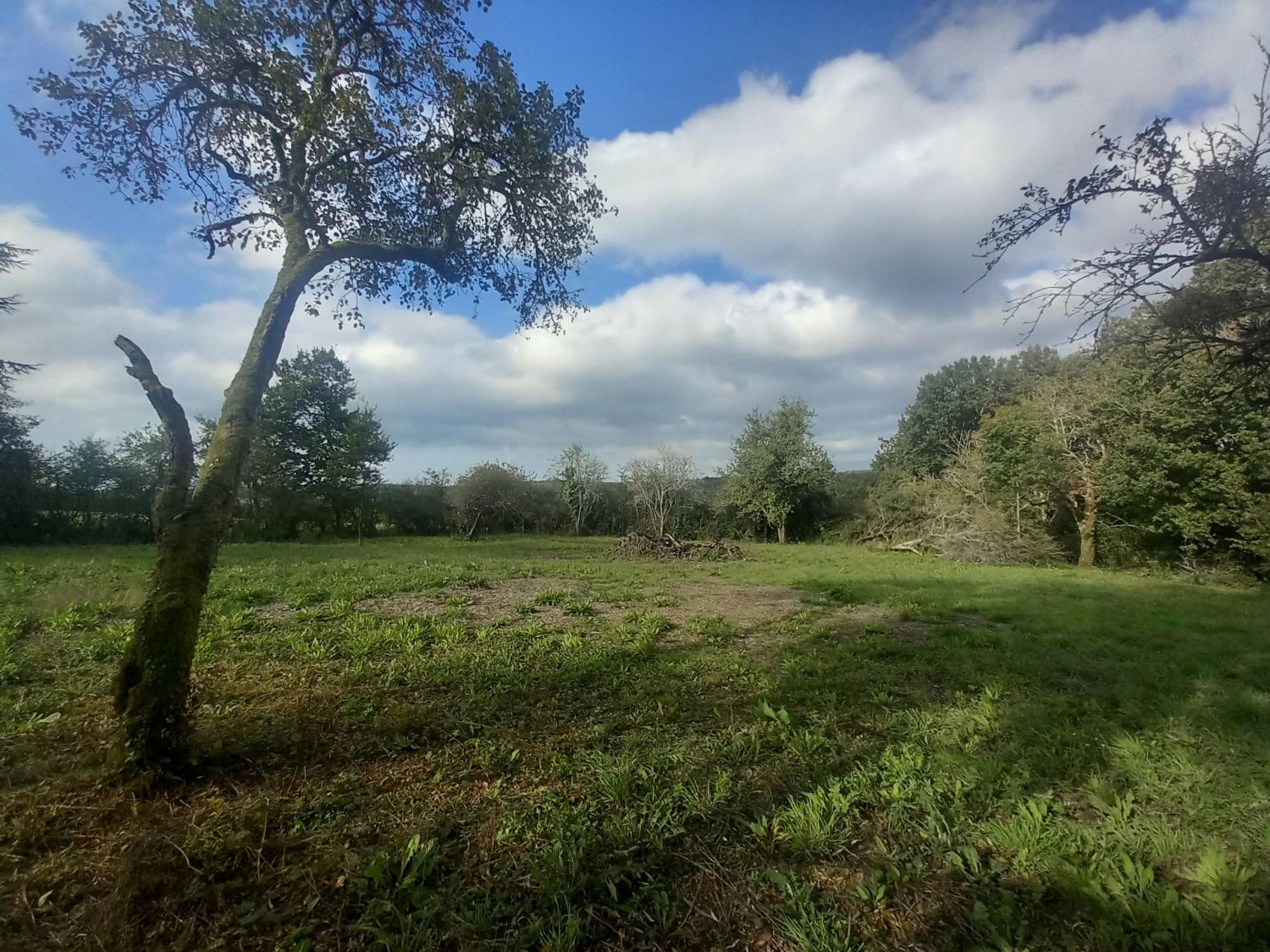  for sale house Moulins-Engilbert Nièvre 7