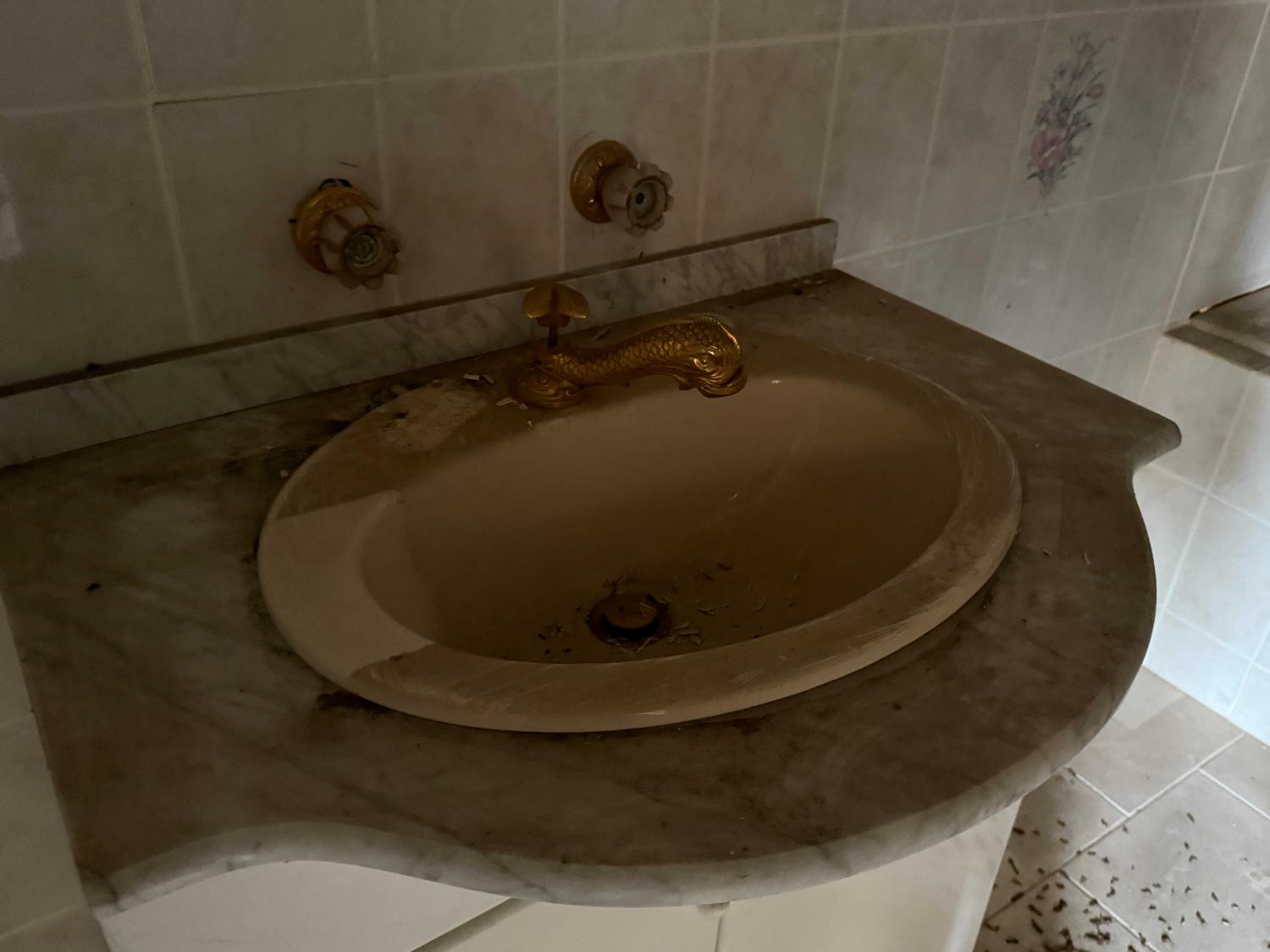  for sale village farm Châteauvillain Haute-Marne 9