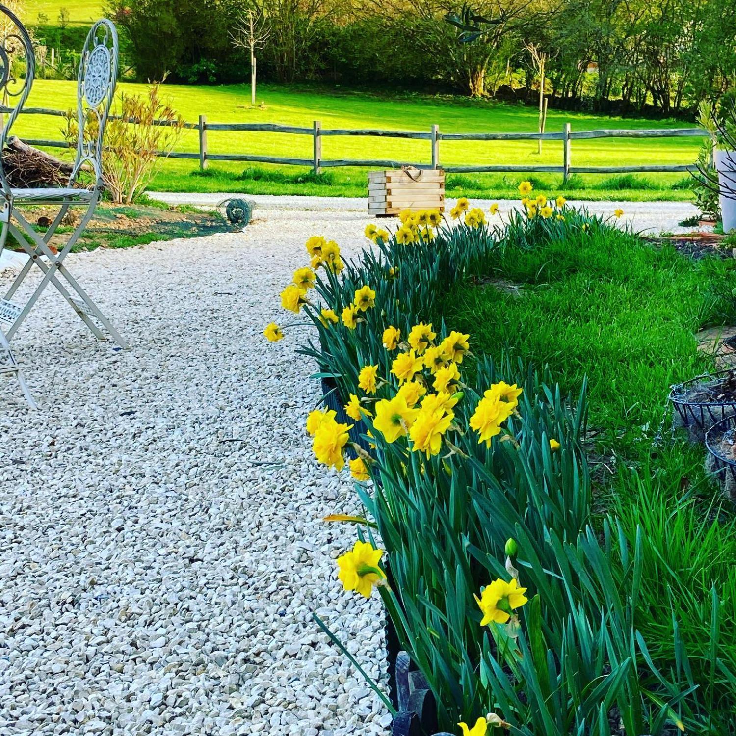  for sale bed and breakfast Rancon Haute-Vienne 26