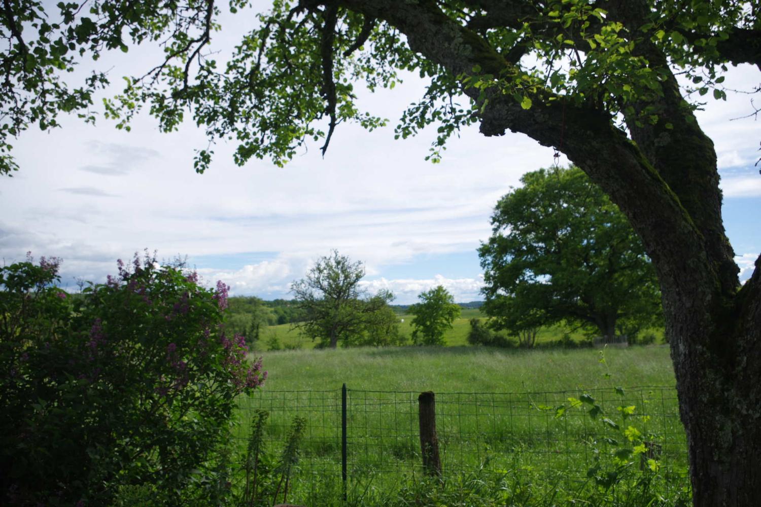  for sale house Limanton Nièvre 9