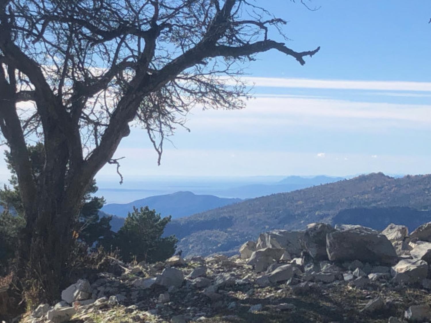 for sale terrain Sospel Alpes-Maritimes 1