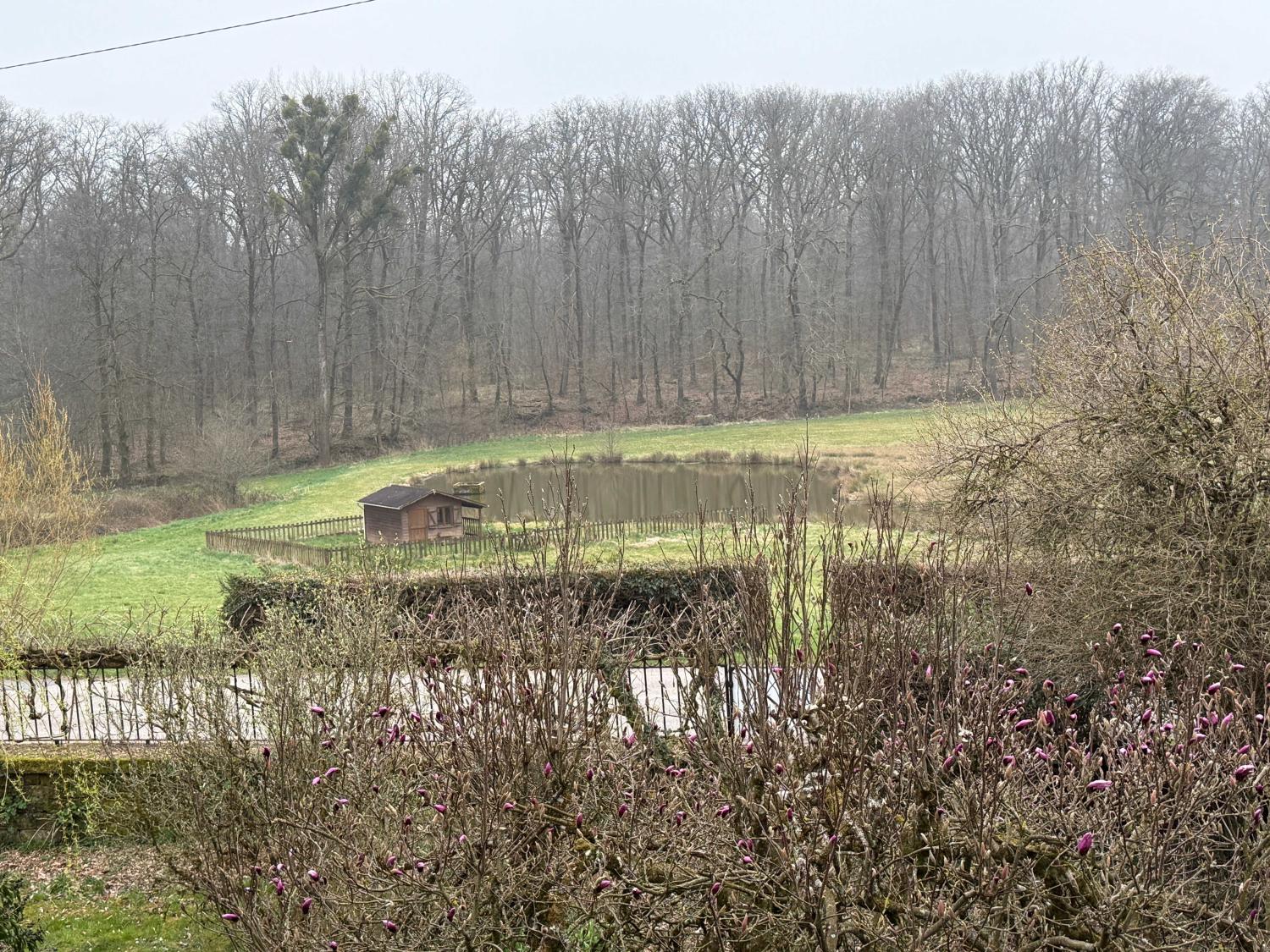  for sale detached house Hennezel Vosges 54