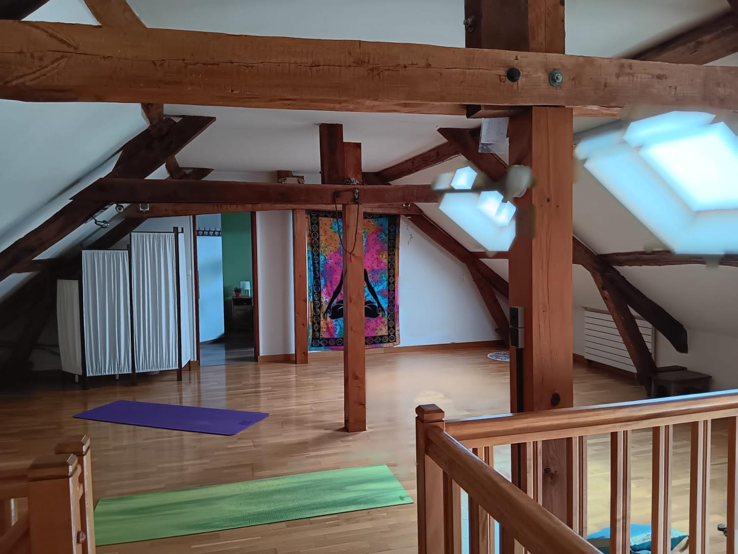  for sale estate Montcombroux-les-Mines Allier 19