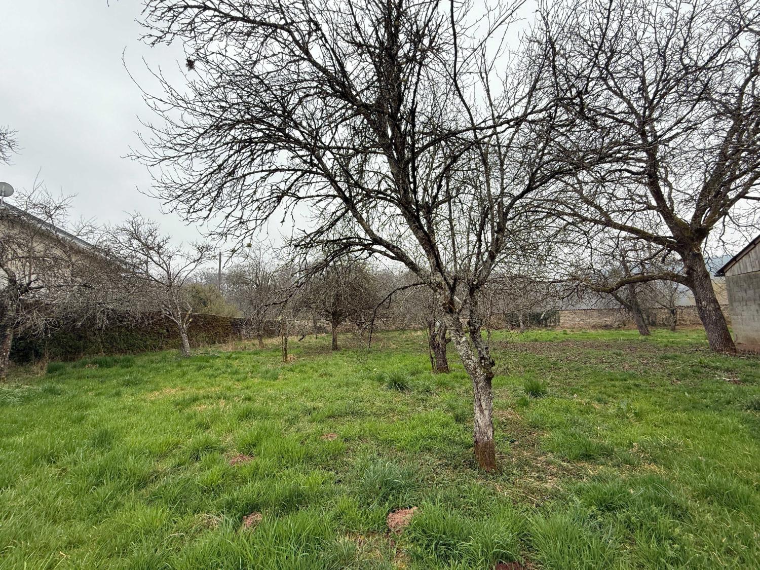  for sale detached house Hennezel Vosges 20