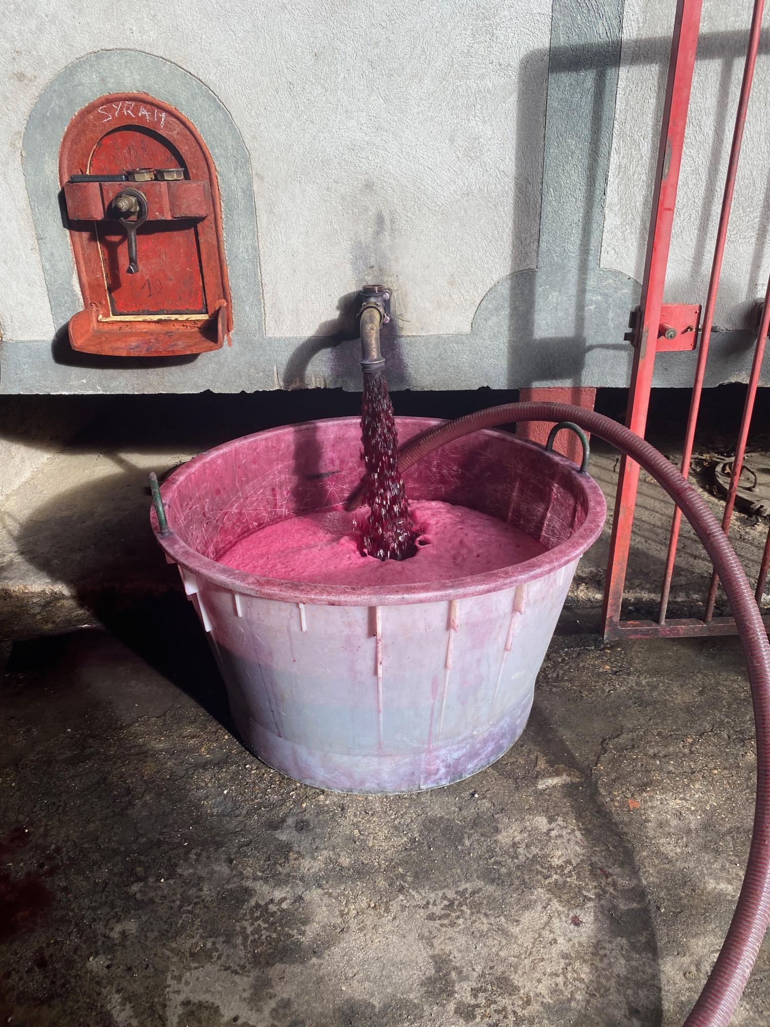  for sale vineyard Carcassonne Aude 17