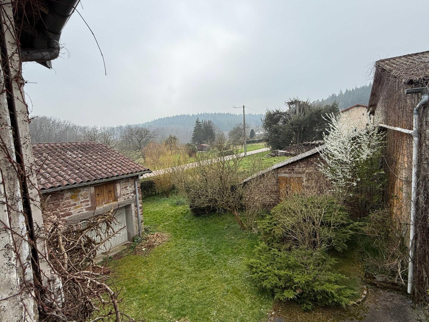  for sale detached house Hennezel Vosges 52