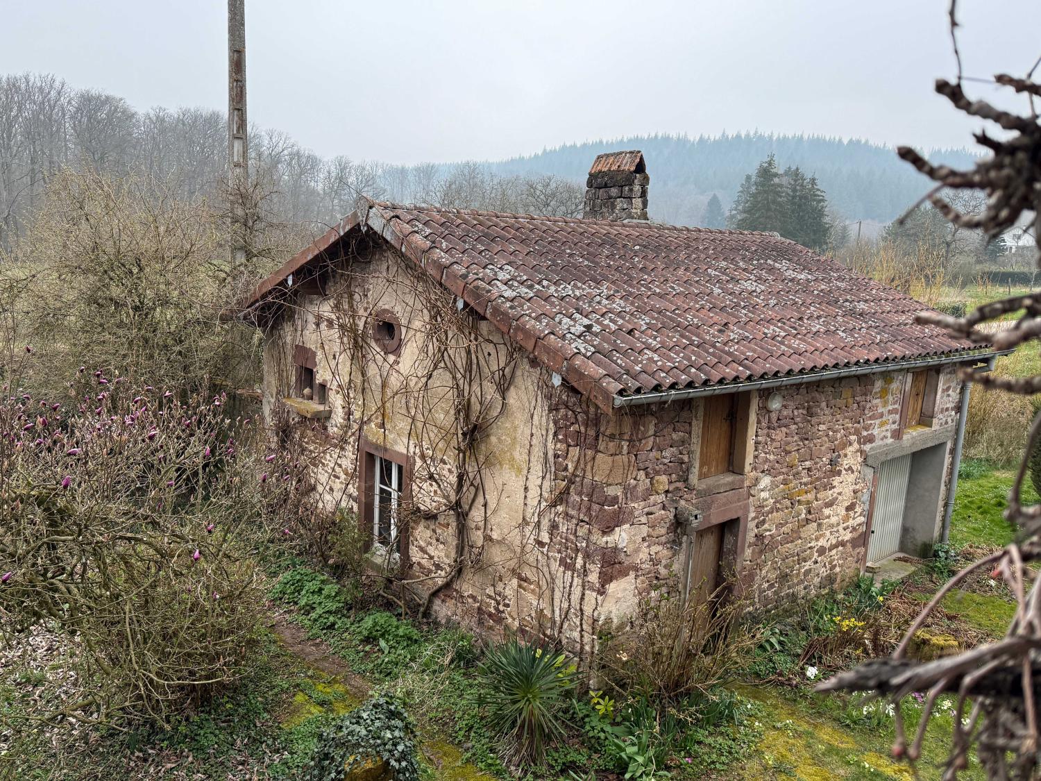  for sale detached house Hennezel Vosges 55