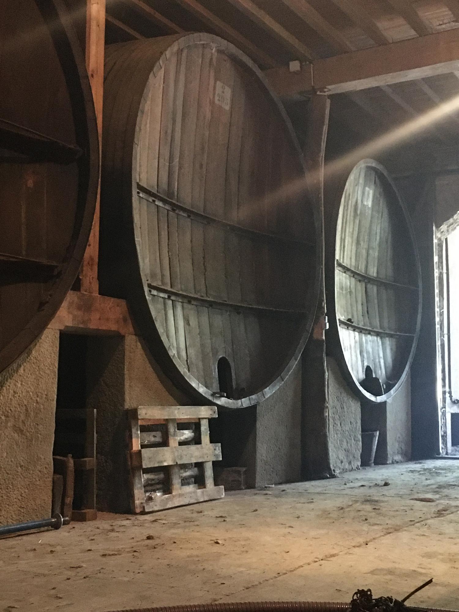  for sale vineyard Carcassonne Aude 12