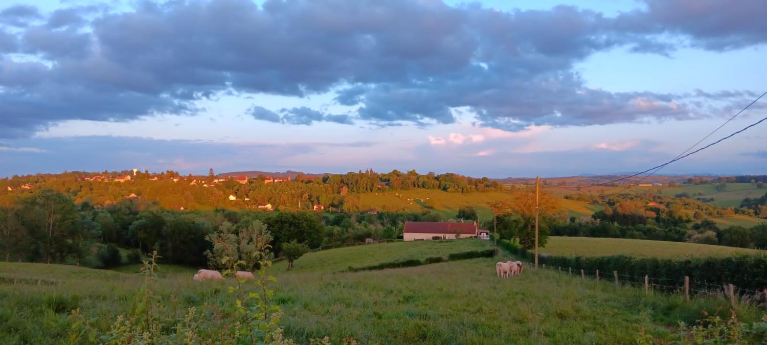  for sale estate Montcombroux-les-Mines Allier 4