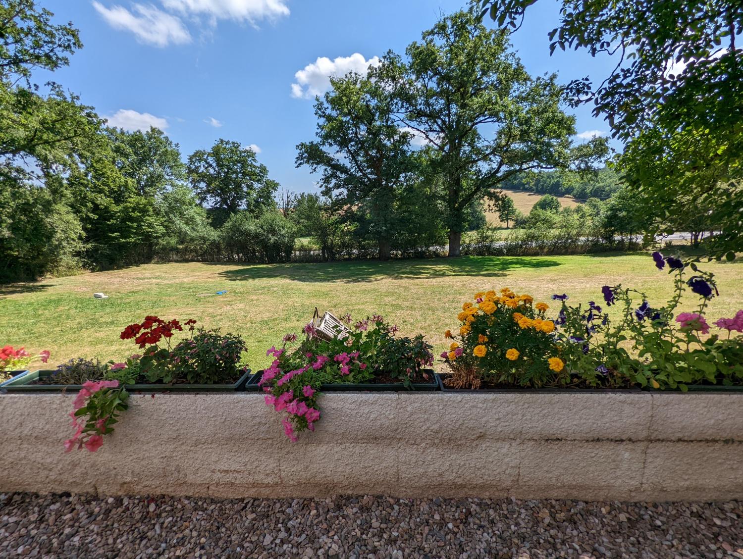  for sale detached house Vicq-Exemplet Indre 41