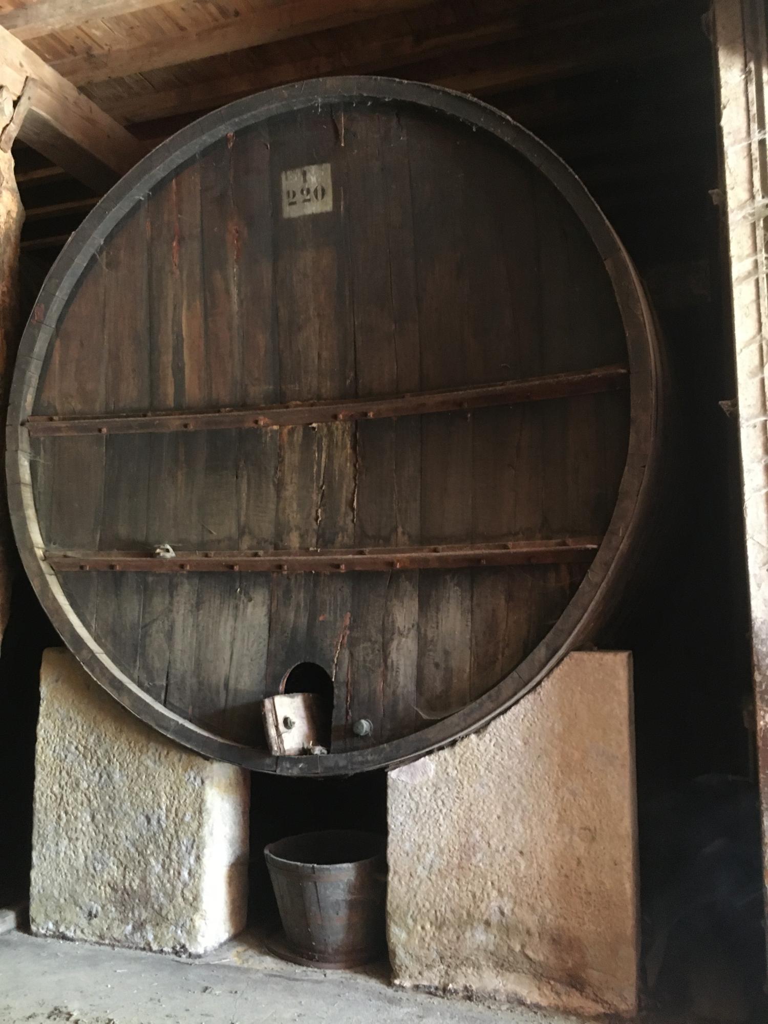  for sale vineyard Carcassonne Aude 11