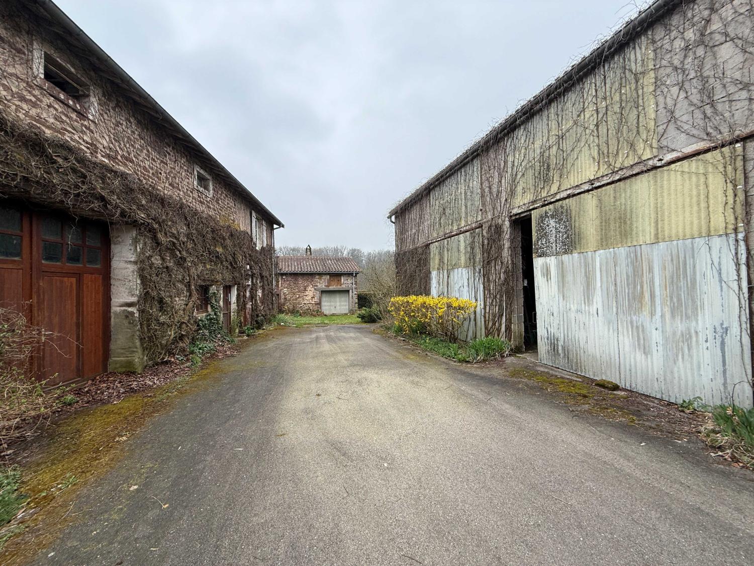  for sale detached house Hennezel Vosges 7