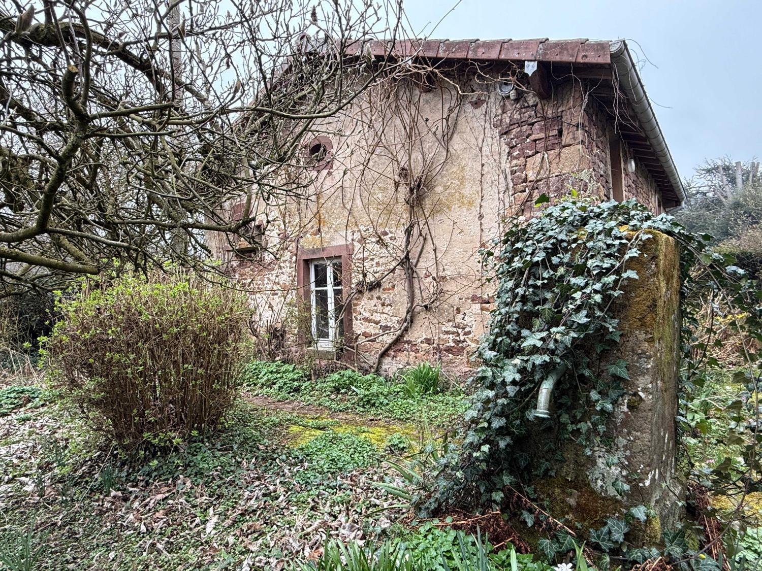  for sale detached house Hennezel Vosges 3