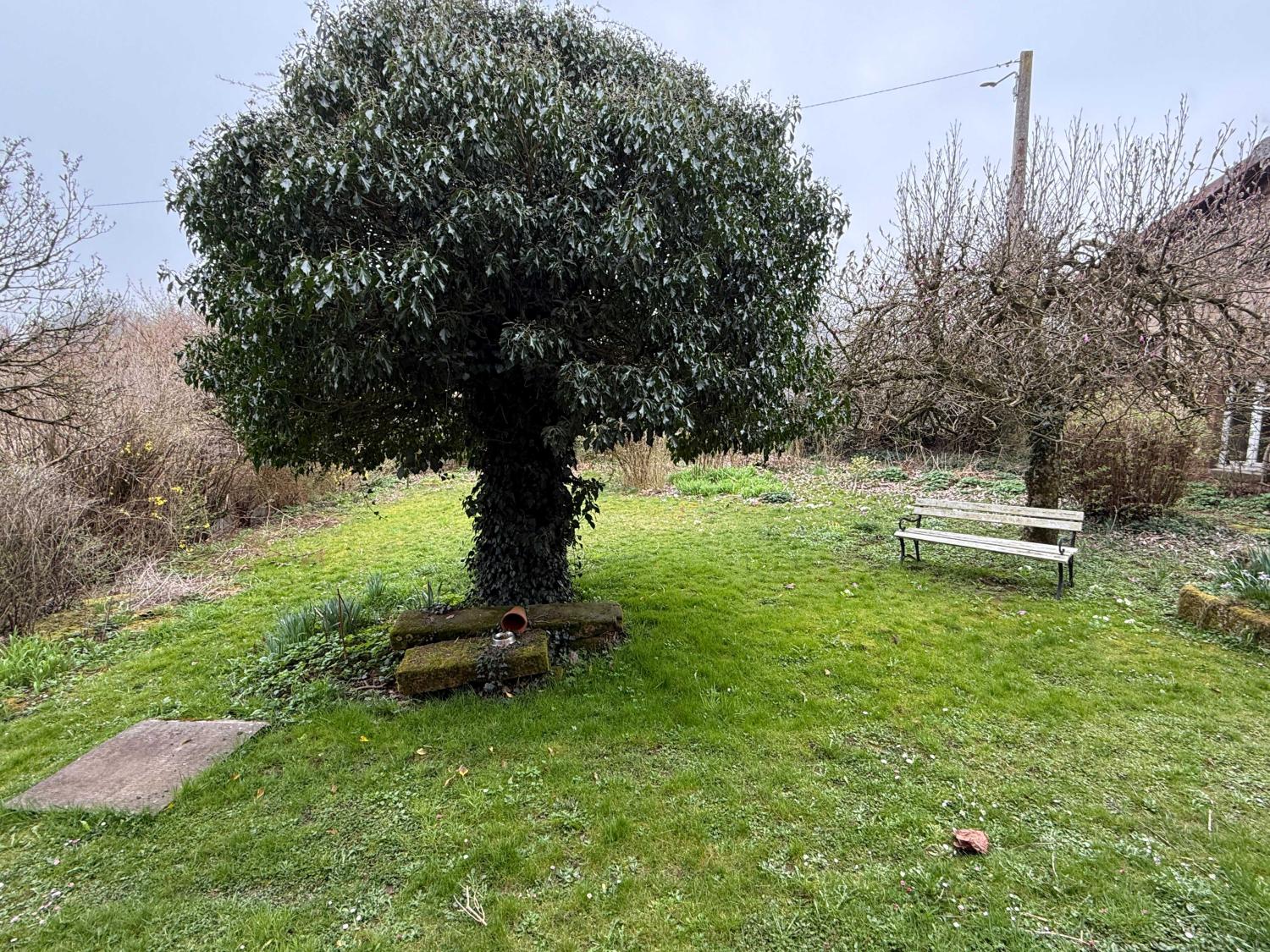  for sale detached house Hennezel Vosges 56