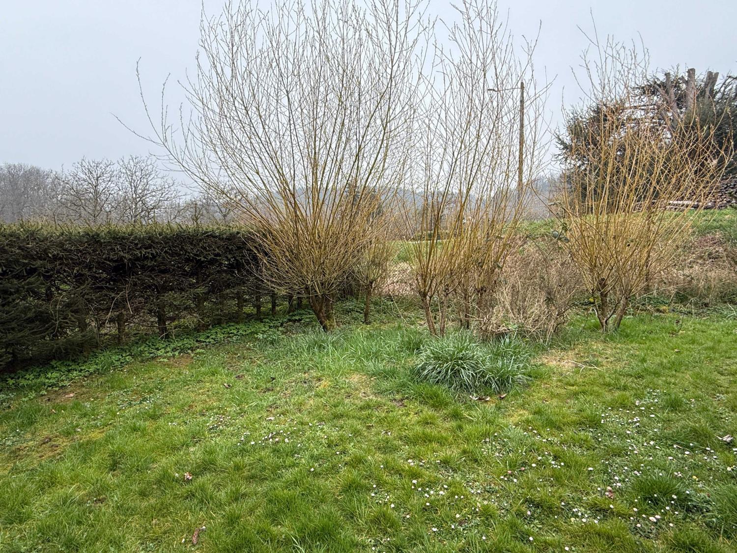  for sale detached house Hennezel Vosges 9